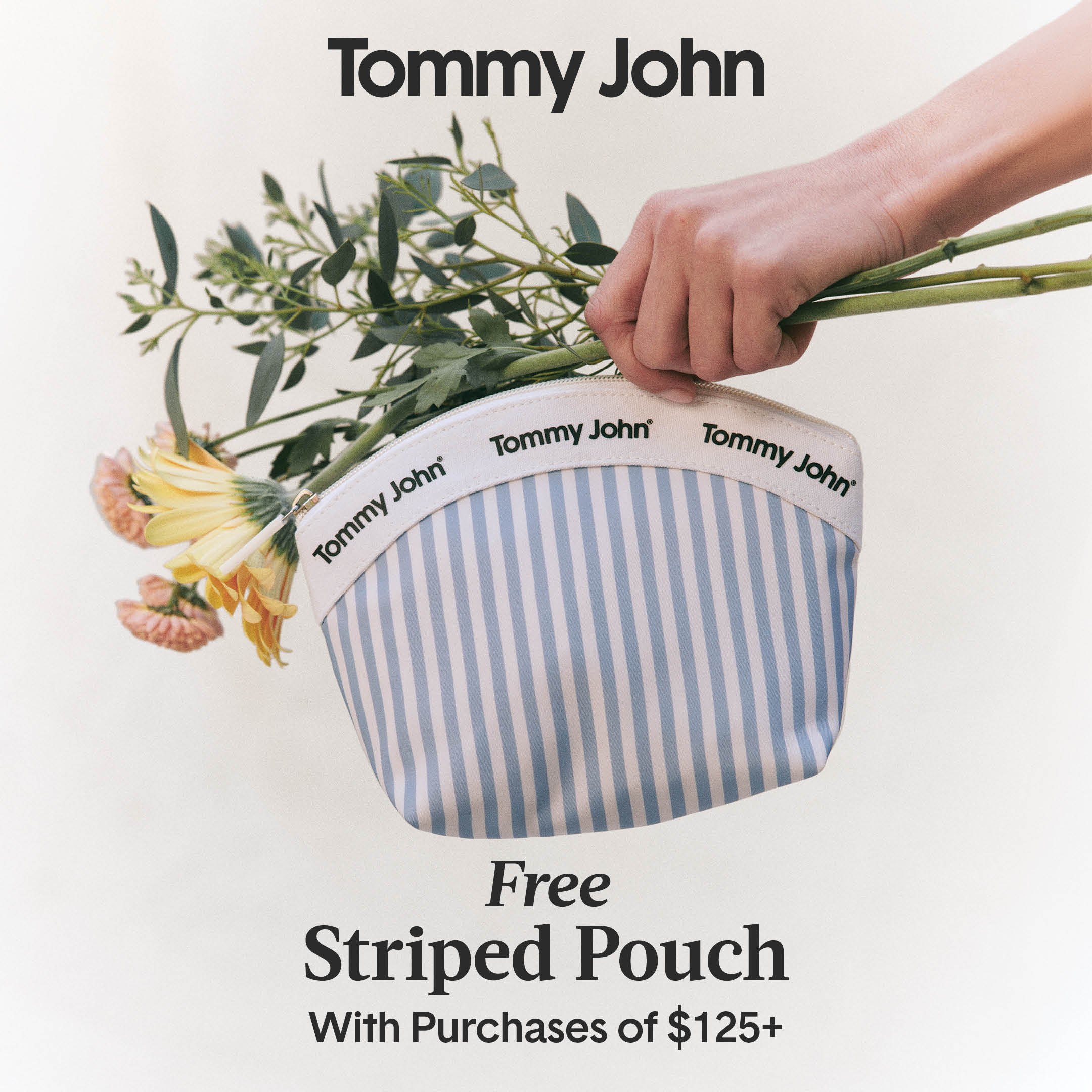 Free Striped Pouch With Purchases of $125+ icon