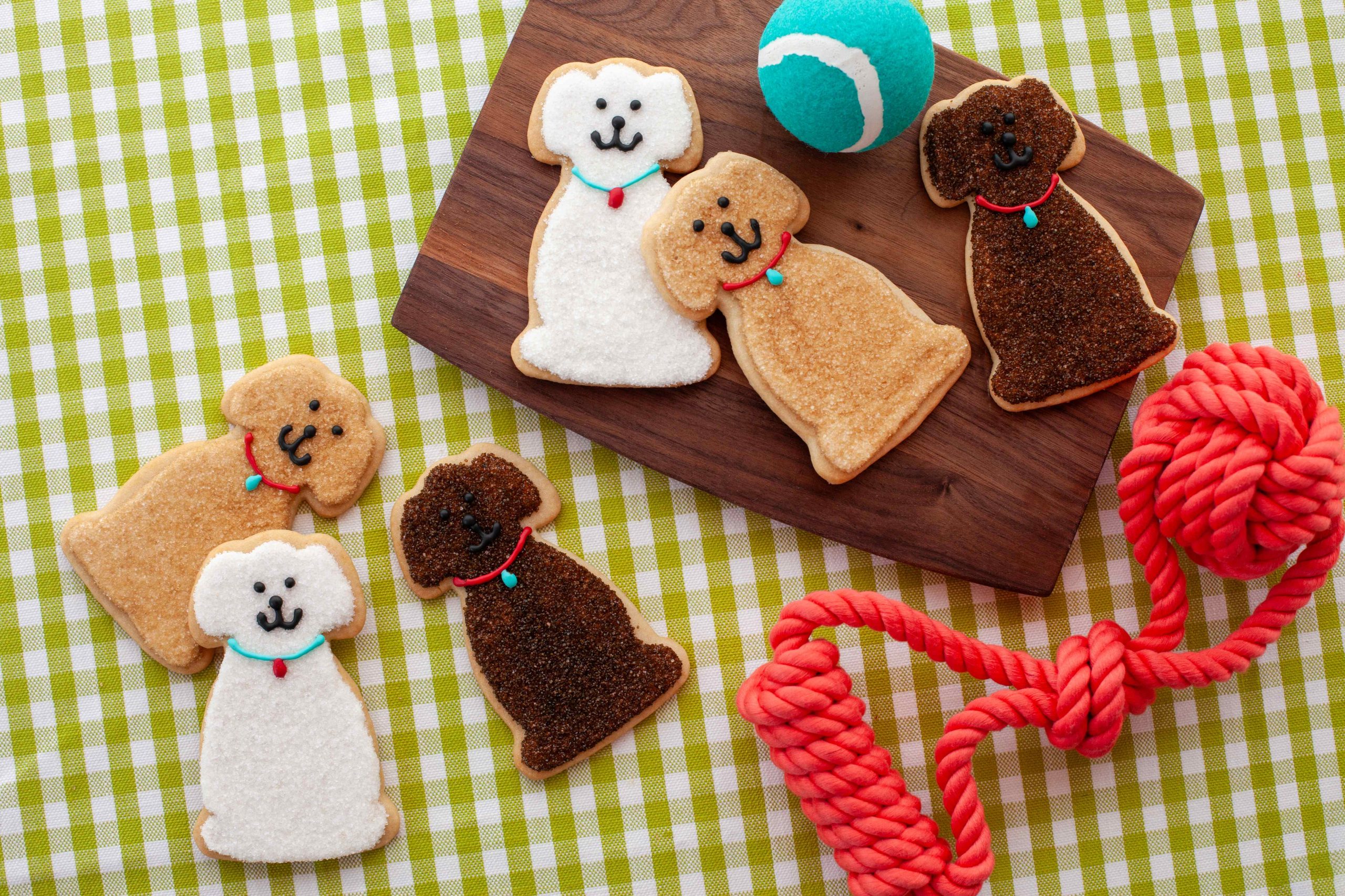Dog Days of Summer icon